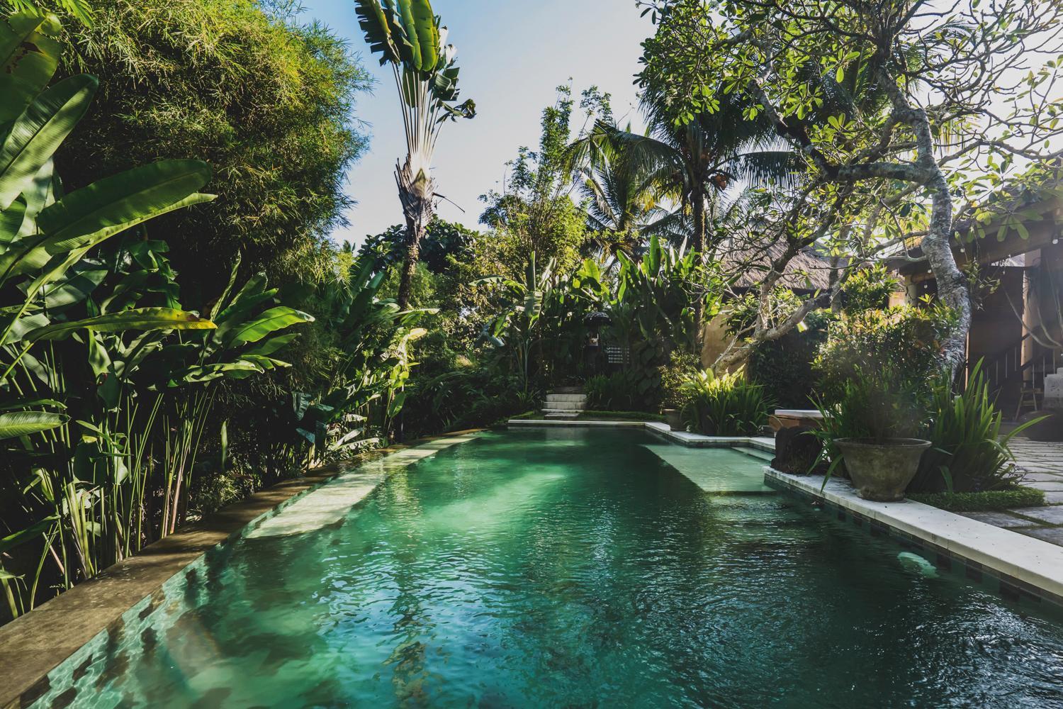 Luwak Ubud Villa Ubud