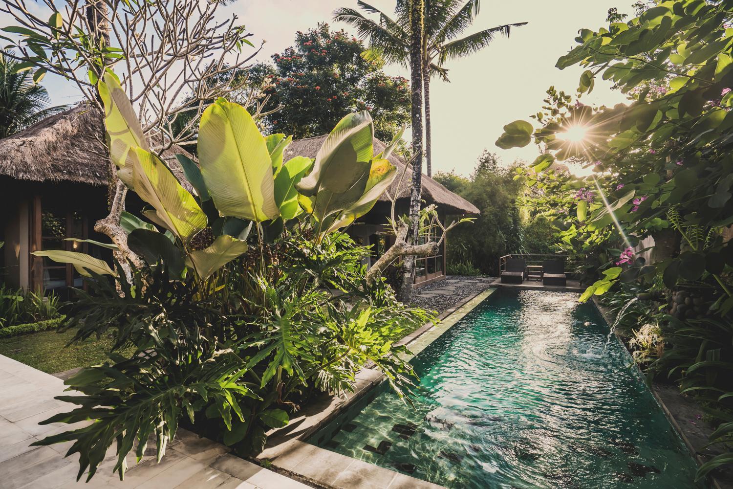Villa Luwak Ubud Villa Ubud