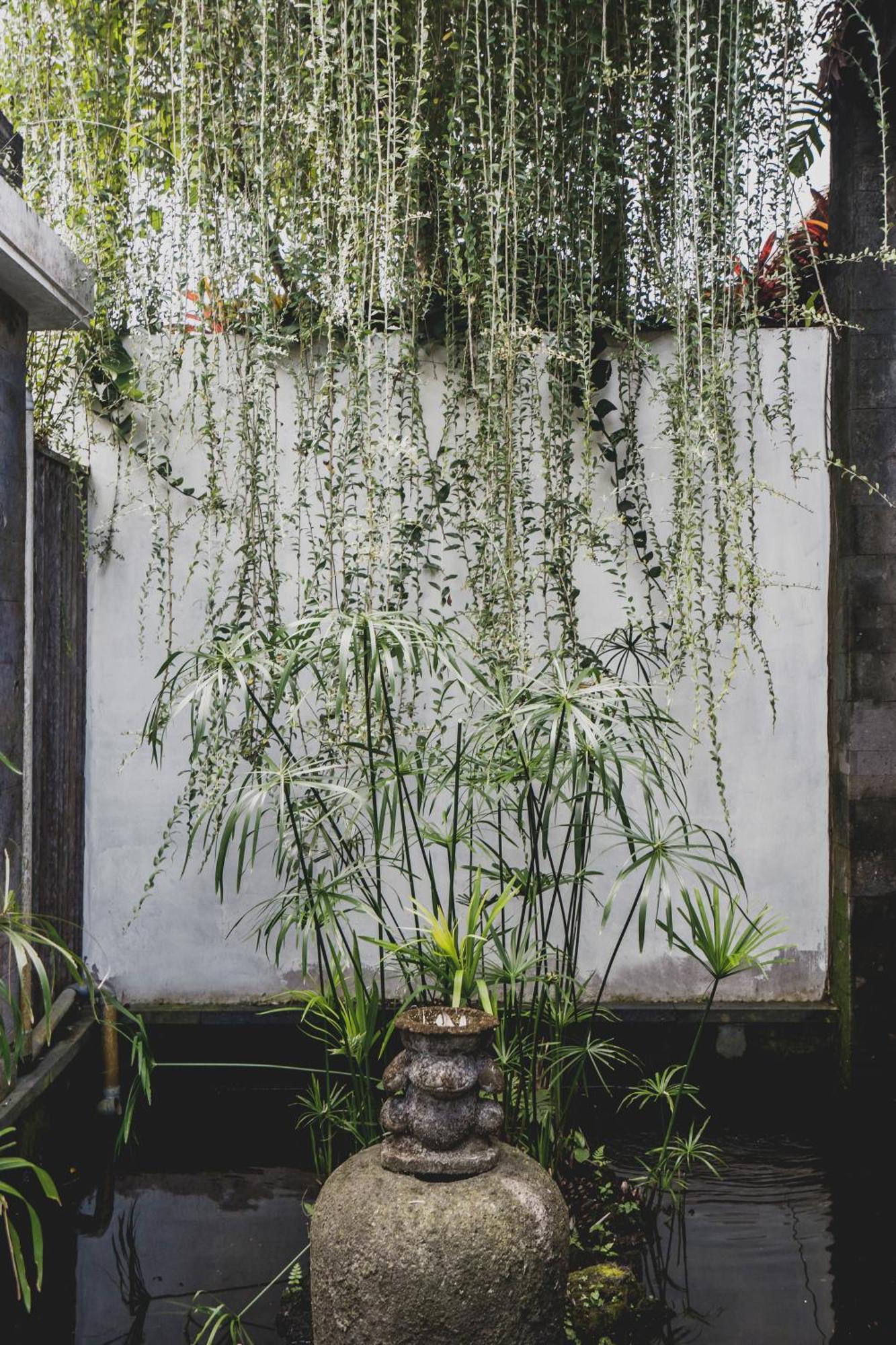 Luwak Ubud Villa * Ubud